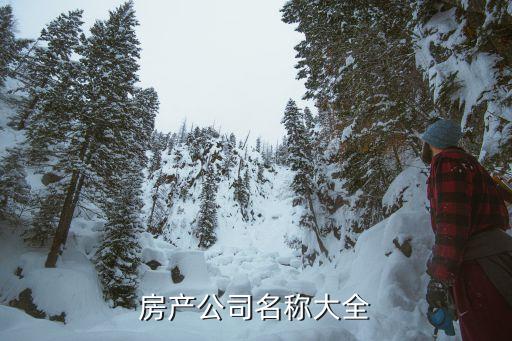 房產(chǎn)公司名稱大全