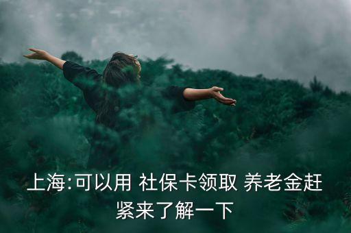 上海市社保養(yǎng)老金