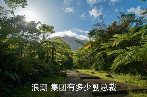  浪潮 集團有多少副總裁