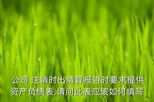 公司注銷12個月財務(wù)報表
