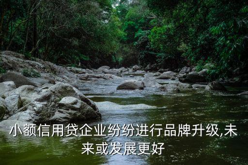 小額信用貸企業(yè)紛紛進(jìn)行品牌升級(jí),未來或發(fā)展更好