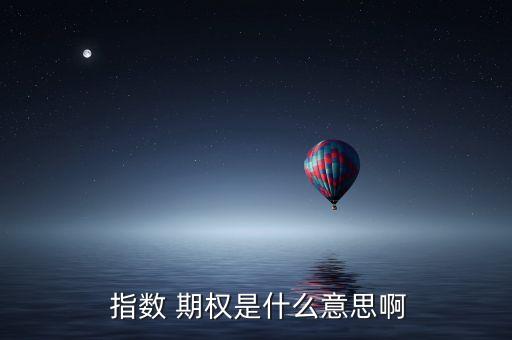  指數(shù) 期權(quán)是什么意思啊
