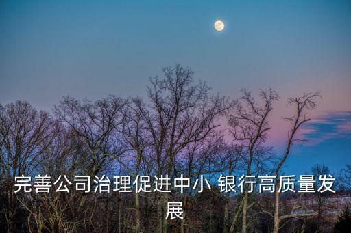 完善公司治理促進中小 銀行高質(zhì)量發(fā)展