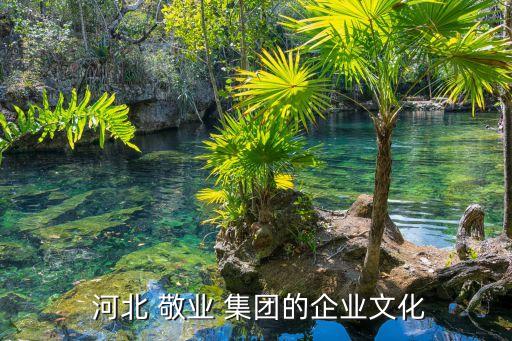 民生河北敬業(yè)集團(tuán),河北敬業(yè)集團(tuán)兒媳婦兒是誰