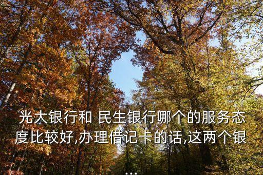  光大銀行和 民生銀行哪個(gè)的服務(wù)態(tài)度比較好,辦理借記卡的話,這兩個(gè)銀...