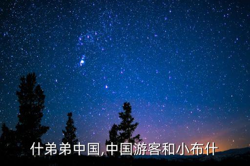小布什弟弟中國(guó),中國(guó)游客和小布什