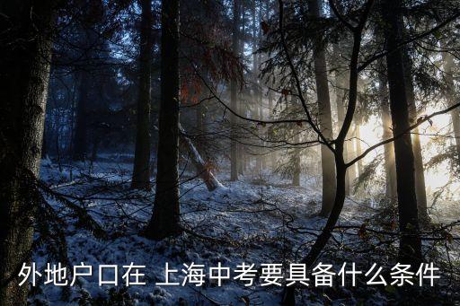 外地戶(hù)口在 上海中考要具備什么條件
