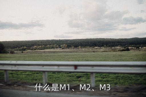 什么是M1、M2、M3