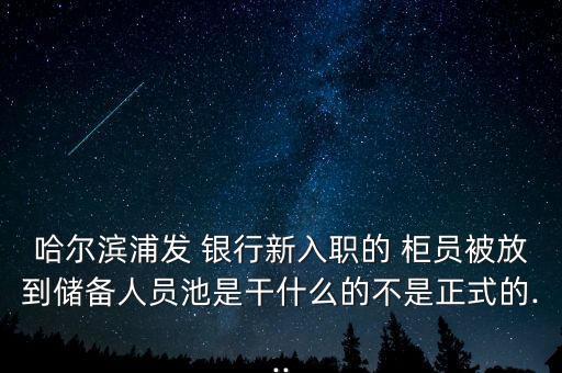 哈爾濱浦發(fā) 銀行新入職的 柜員被放到儲備人員池是干什么的不是正式的...