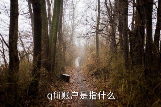 qfii賬戶(hù)是指什么