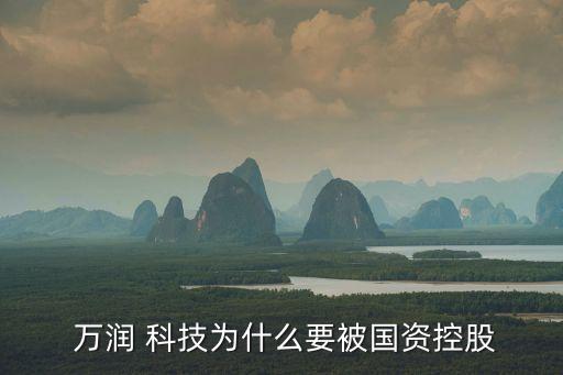  萬潤(rùn) 科技為什么要被國(guó)資控股