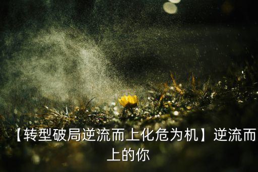 【轉型破局逆流而上化危為機】逆流而上的你