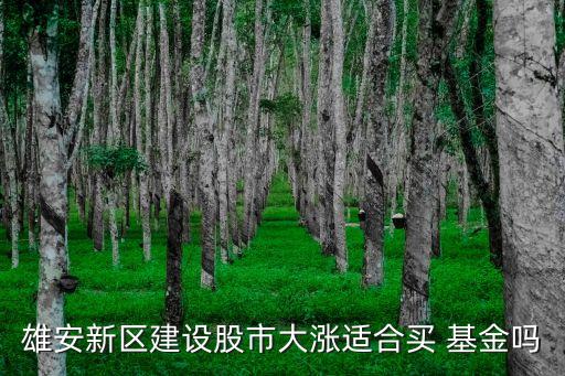 000958基金,電投產(chǎn)融000958