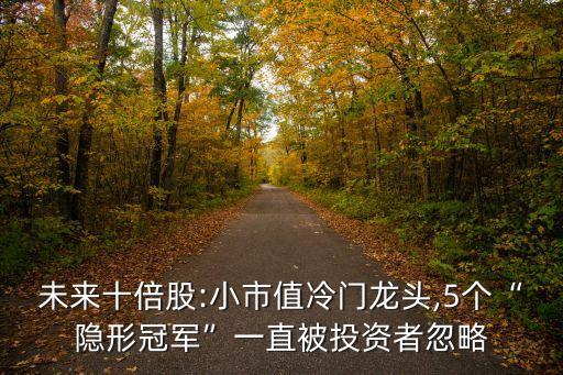 未來(lái)十倍股:小市值冷門(mén)龍頭,5個(gè)“隱形冠軍”一直被投資者忽略