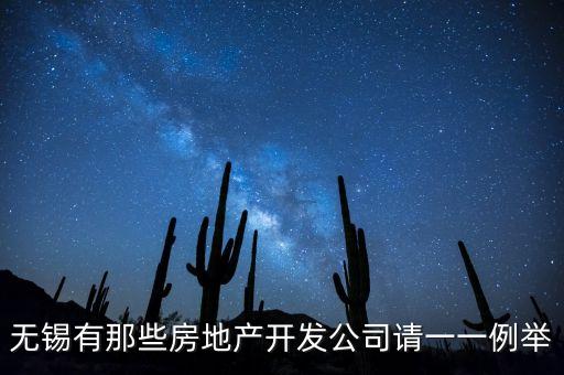 無錫有那些房地產(chǎn)開發(fā)公司請(qǐng)一一例舉