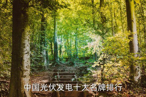 中國(guó)光伏發(fā)電十大名牌排行
