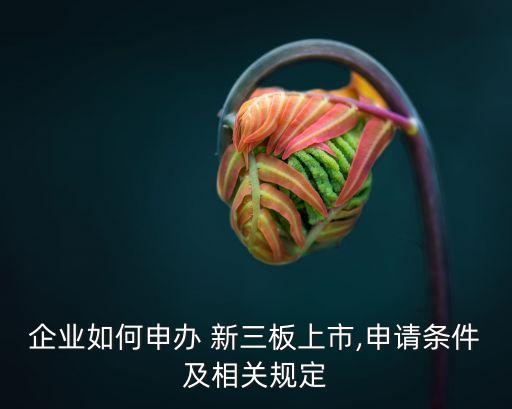 企業(yè)如何申辦 新三板上市,申請條件及相關規(guī)定