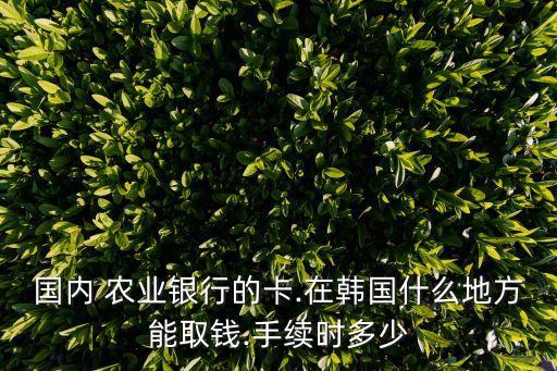 農業(yè)銀行借記卡境外取款手續(xù)費