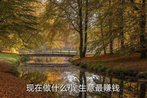 現(xiàn)在做什么小 生意最賺錢(qián)