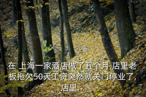 在 上海一家酒店做了五個(gè)月,店里老板拖欠50天工資突然就關(guān)門停業(yè)了,店里...