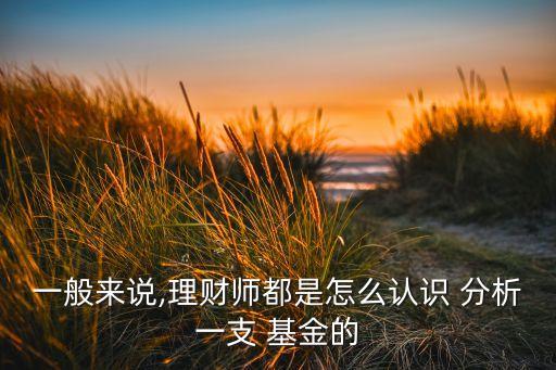 一般來(lái)說(shuō),理財(cái)師都是怎么認(rèn)識(shí) 分析一支 基金的