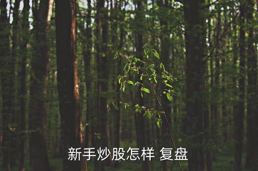 股票如何復(fù)盤(pán),股票復(fù)盤(pán)技巧重點(diǎn)看什么
