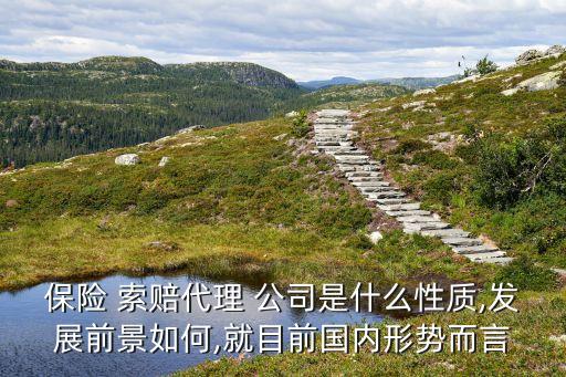 保險(xiǎn) 索賠代理 公司是什么性質(zhì),發(fā)展前景如何,就目前國內(nèi)形勢(shì)而言