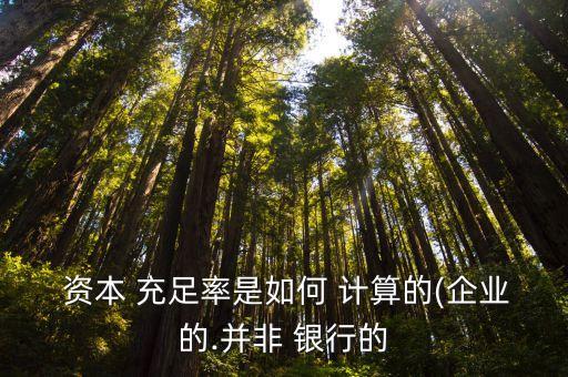  資本 充足率是如何 計算的(企業(yè)的.并非 銀行的