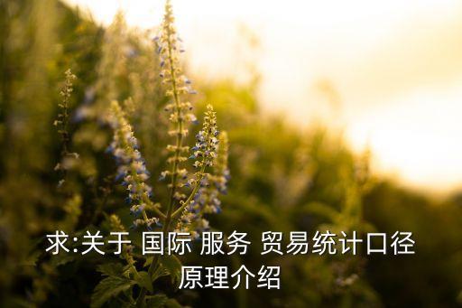 求:關(guān)于 國(guó)際 服務(wù) 貿(mào)易統(tǒng)計(jì)口徑原理介紹