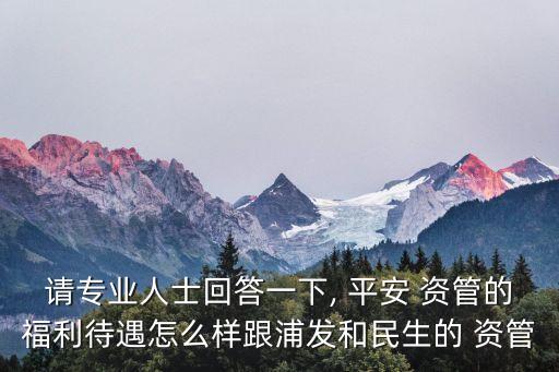 請(qǐng)專(zhuān)業(yè)人士回答一下, 平安 資管的福利待遇怎么樣跟浦發(fā)和民生的 資管