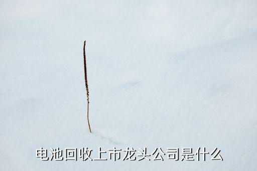 電池回收上市龍頭公司是什么
