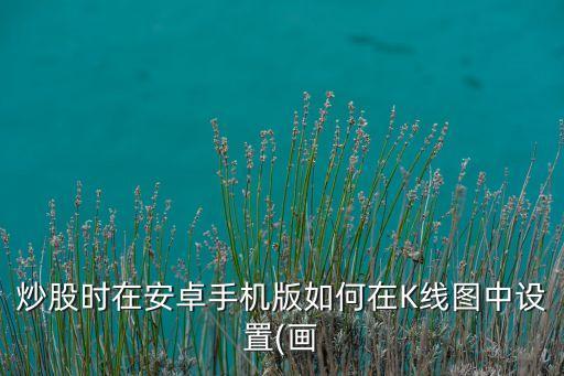 炒股時(shí)在安卓手機(jī)版如何在K線圖中設(shè)置(畫
