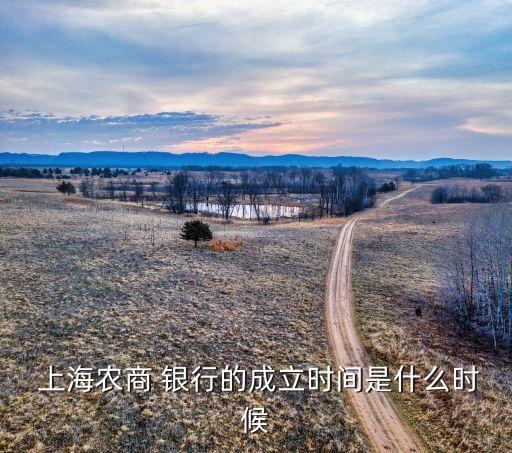  上海農商 銀行的成立時間是什么時候