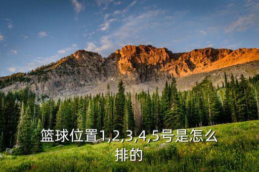 籃球位置1,2,3,4,5號是怎么排的