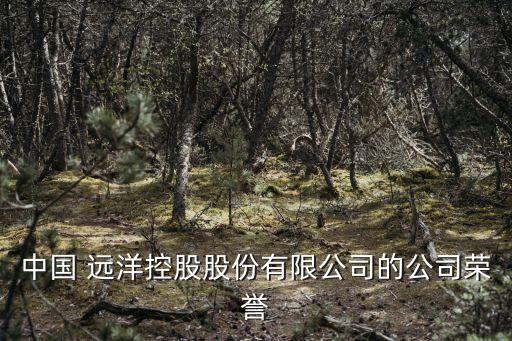 中國 遠(yuǎn)洋控股股份有限公司的公司榮譽