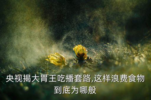 央視揭大胃王吃播套路,這樣浪費食物到底為哪般