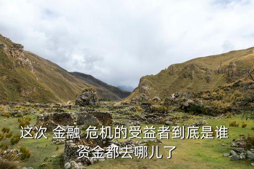 這次 金融 危機的受益者到底是誰 資金都去哪兒了