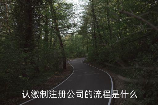  認(rèn)繳制注冊公司的流程是什么