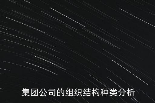  集團(tuán)公司的組織結(jié)構(gòu)種類分析