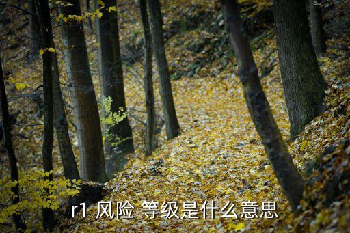 r1 風(fēng)險(xiǎn) 等級是什么意思