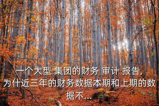 一個大型 集團的財務(wù) 審計 報告,為什近三年的財務(wù)數(shù)據(jù)本期和上期的數(shù)據(jù)不...