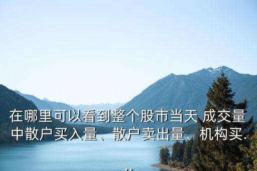在哪里可以看到整個股市當(dāng)天 成交量中散戶買入量、散戶賣出量、機構(gòu)買...