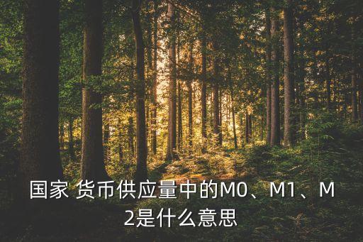 國(guó)家 貨幣供應(yīng)量中的M0、M1、M2是什么意思