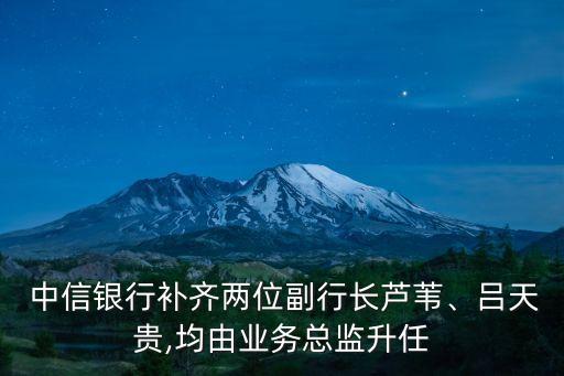  中信銀行補齊兩位副行長蘆葦、呂天貴,均由業(yè)務總監(jiān)升任