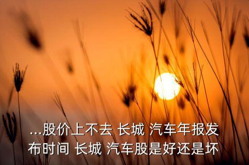 長城汽車股票怎么了
