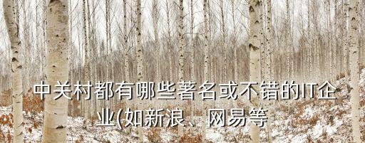  中關(guān)村都有哪些著名或不錯(cuò)的IT企業(yè)(如新浪、網(wǎng)易等