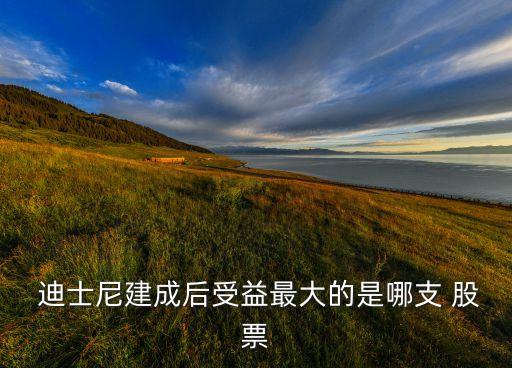  迪士尼建成后受益最大的是哪支 股票