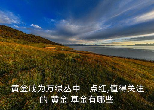  黃金成為萬(wàn)綠叢中一點(diǎn)紅,值得關(guān)注的 黃金 基金有哪些
