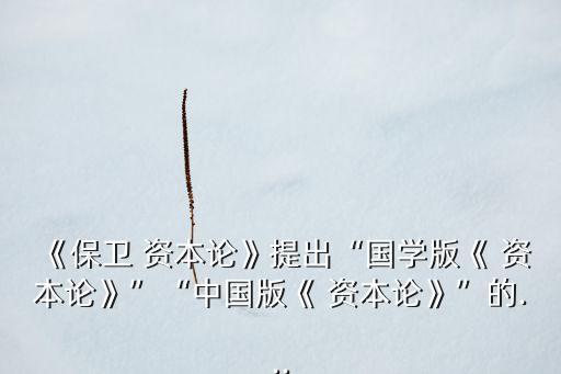 21世紀(jì)資本論對中國經(jīng)濟意義