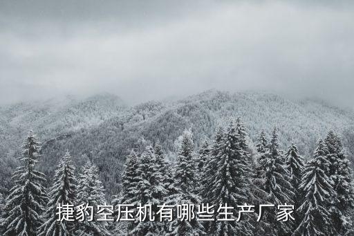 捷豹空壓機(jī)有哪些生產(chǎn)廠家